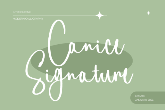 Canice Signature Handwritten Font for Small Business Branding