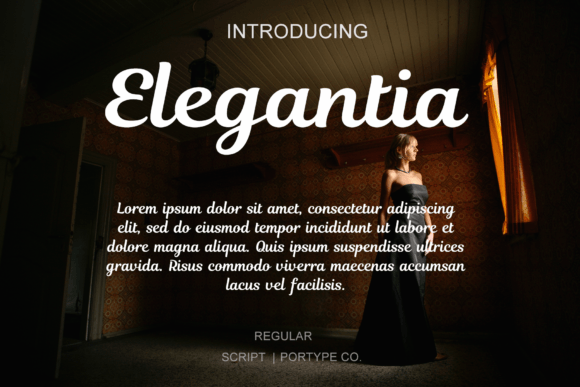 Elegantia Font for Handmade Labels and Elegant Branding