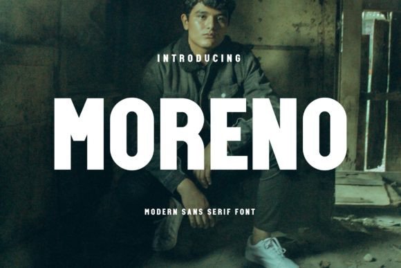 Moreno Sans Serif Font for Bold Web Design