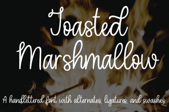 Toasted Marshmallow Font Review: Hand-Lettered Monoline Script