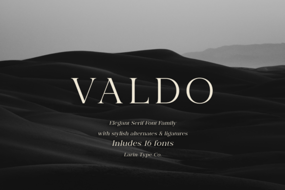 Valdo Serif Font: A Contrast-Rich Typeface for Digital Design